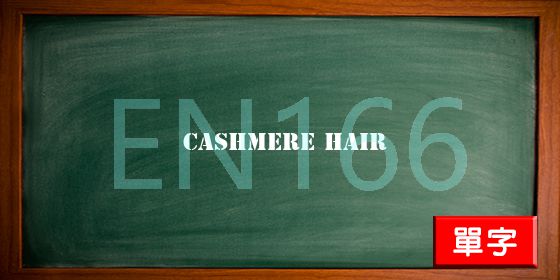 uploads/cashmere hair.jpg